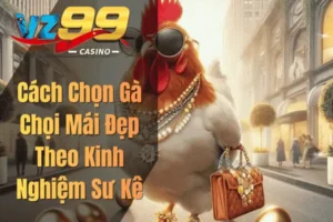 Cách Chọn Gà Chọi Mái Đẹp Theo Kinh Nghiệm Sư Kê