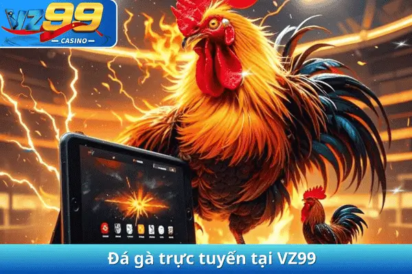 Đá gà trực tuyến tại VZ99