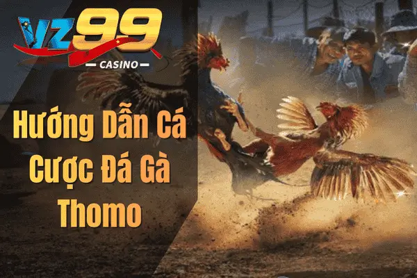 Hướng Dẫn Cá Cược Đá Gà Thomo