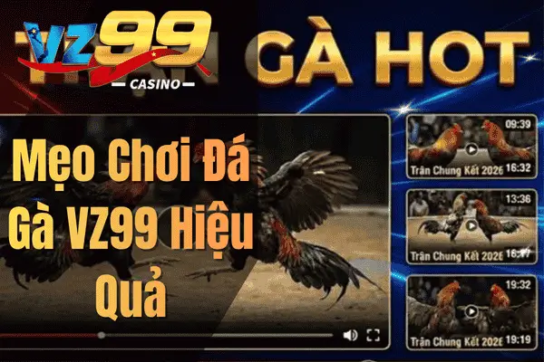 Mẹo Chơi Đá Gà VZ99 Hiệu Quả