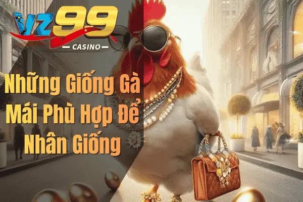 Những Giống Gà Mái Phù Hợp Để Nhân Giống