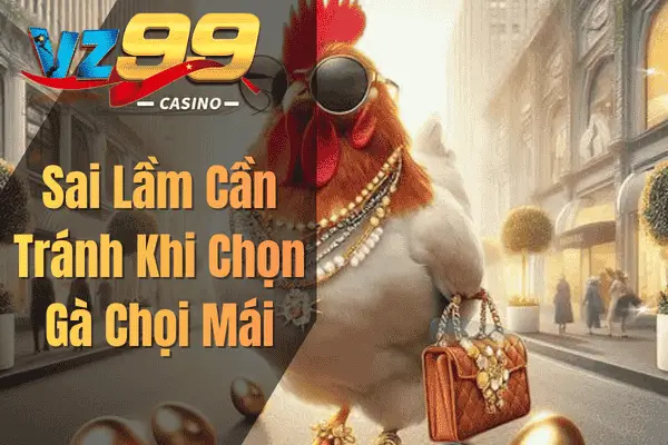 Sai Lầm Cần Tránh Khi Chọn Gà Chọi Mái